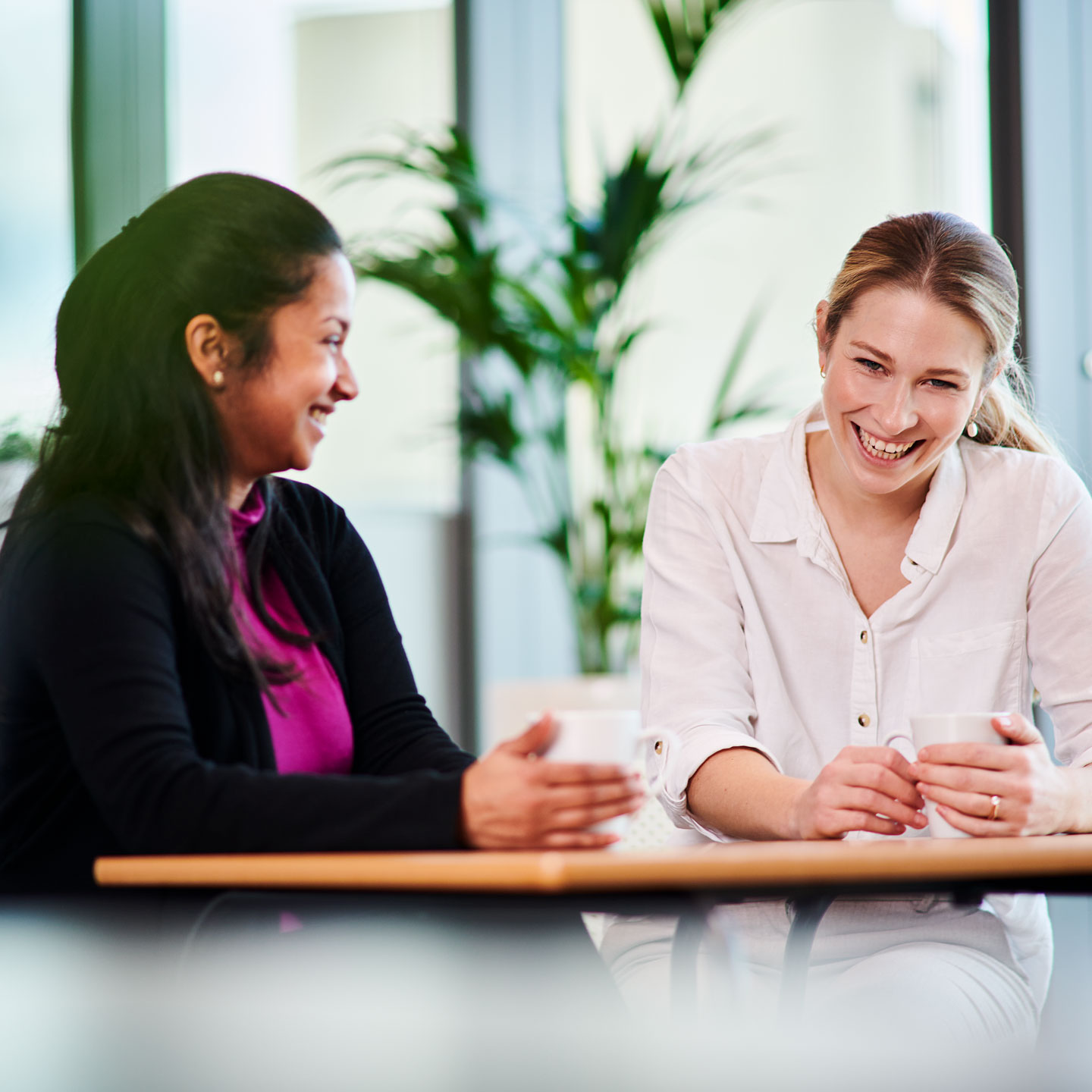 Kificain Hero 2022 Image